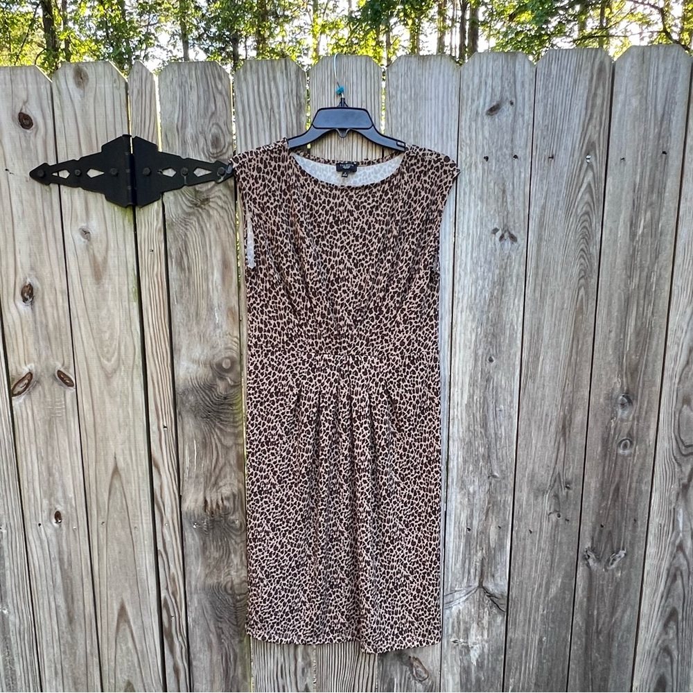 TALBOTS Sleeveless Leopard print dress Women’s P 0-2 petite